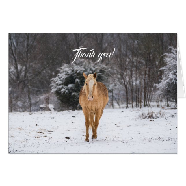 Blonde Horse Walk In The Snow Thank You Card (Front Horizontal)