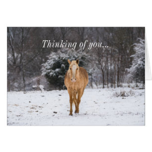Blonde Horse Walk In The Snow Thinking Of You