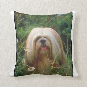 Blonde Lhasa Apso Pillow