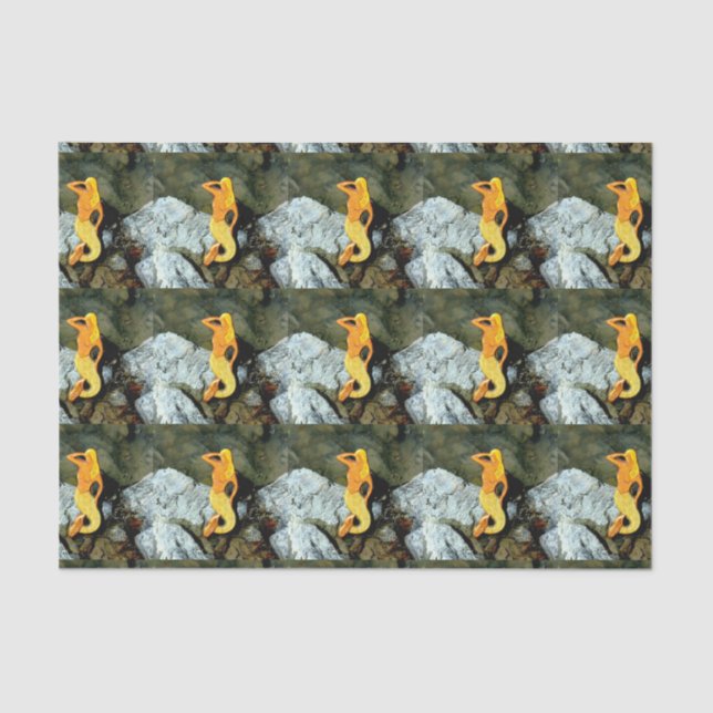 blonde lookout mermaids tissue paper (Front)