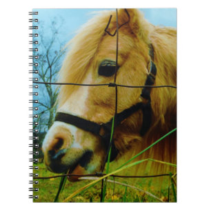 Blonde Miniature Pony / Horse Blue Sky Notebook