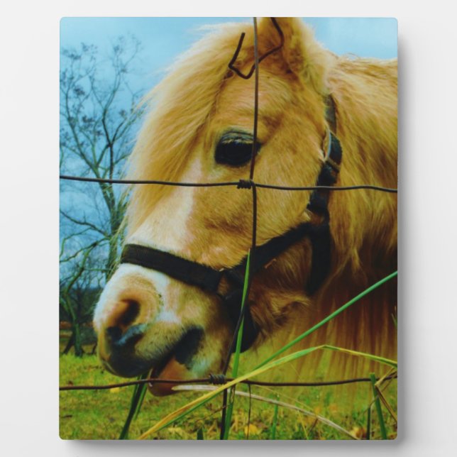 Blonde Miniature Pony / Horse Blue Sky Plaque (Front)