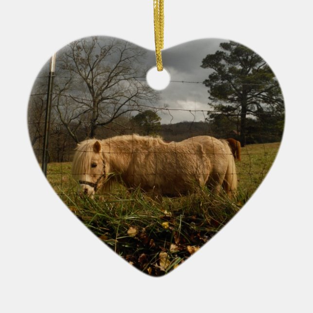 Blonde Miniature Pony / Horse Ceramic Tree Decoration (Front)