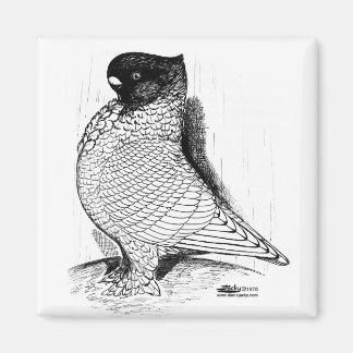 Blondinette Pigeon Laced 1978 Magnet