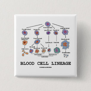 Blood Cell Lineage (Biology Health Medicine) 15 Cm Square Badge