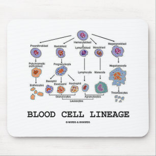 Blood Cell Lineage (Biology Health Medicine) Mouse Pad