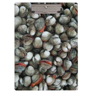 Blood Cockle Shells Clipboard