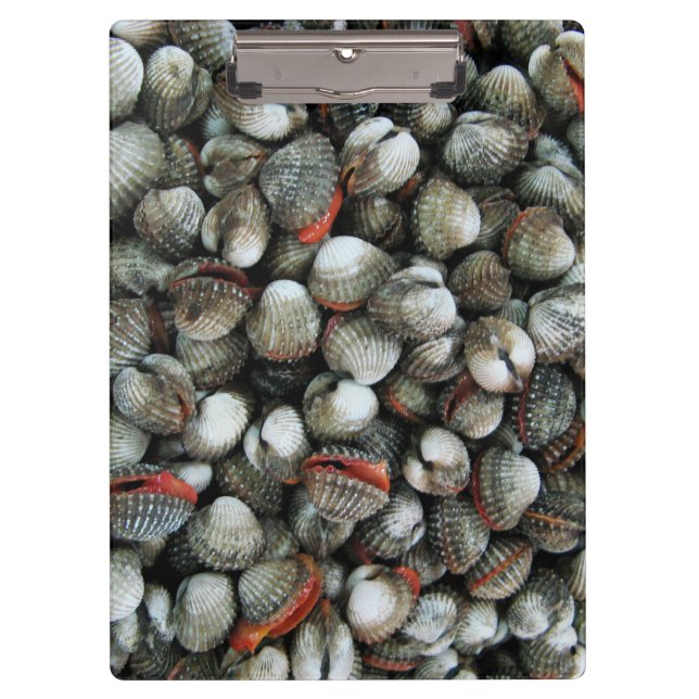 Blood Cockle Shells Clipboard (Front)