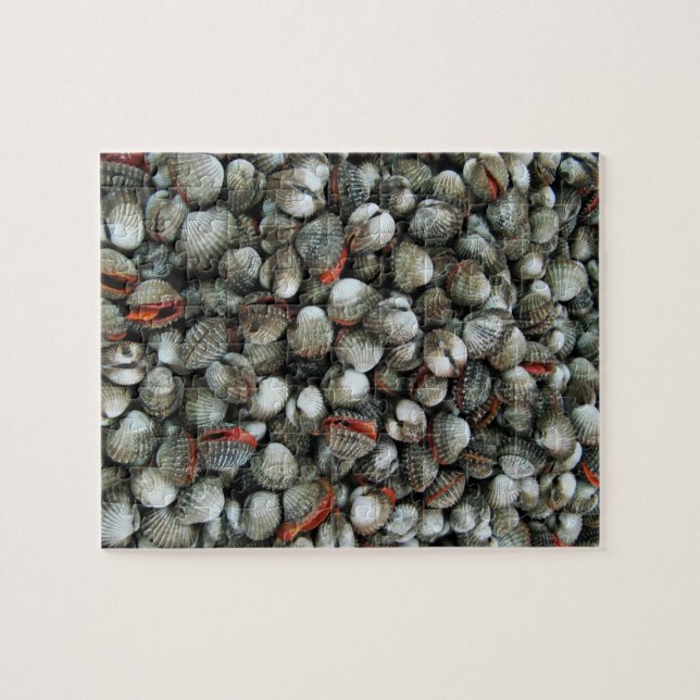 Blood Cockle Shells Jigsaw Puzzle (Horizontal)