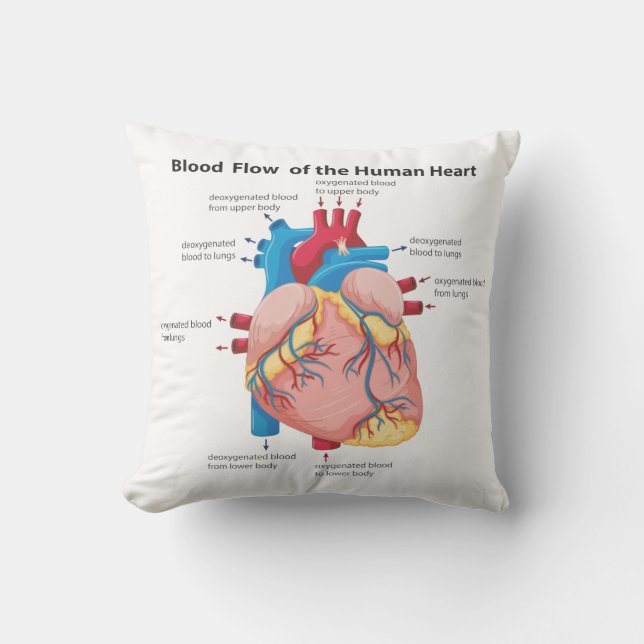 Blood Flow of the Human Heart, Double Sided Cushion (Front)