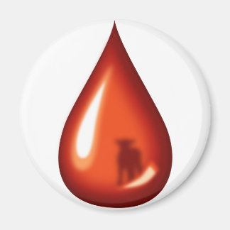 Blood of the Lamb- Jesus Magnet