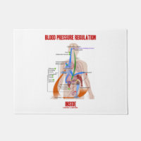 Blood Pressure Regulation Inside Anatomical