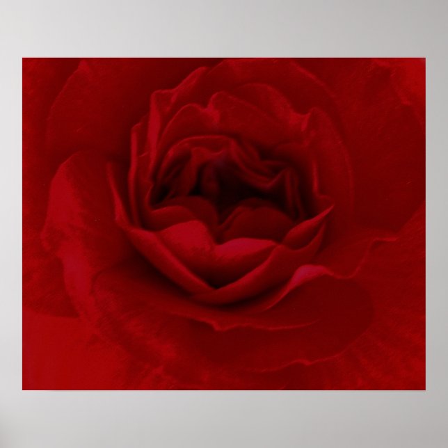 Blood Red Flower poster (Front)
