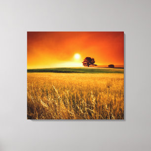 Blood-Red Sunset Canvas Print