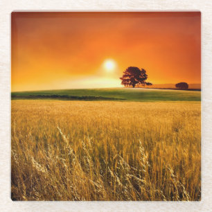 Blood-Red Sunset Glass Coaster