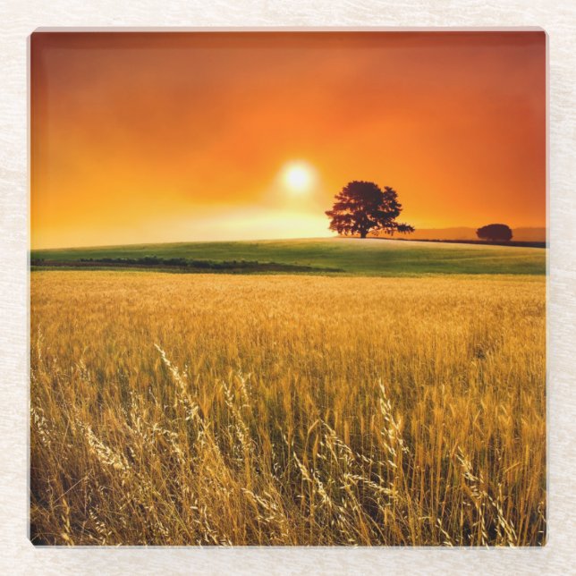 Blood-Red Sunset Glass Coaster (Front)