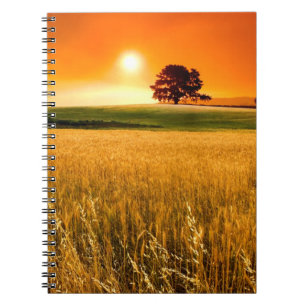 Blood-Red Sunset Spiral Notebook