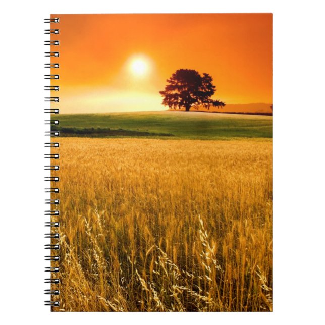 Blood-Red Sunset Spiral Notebook (Front)