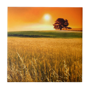 Blood-Red Sunset Tile