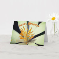 Blood Root Flower Centre Birthday