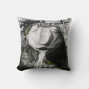 Blood Tea and Red String Frog Fountain Pillow