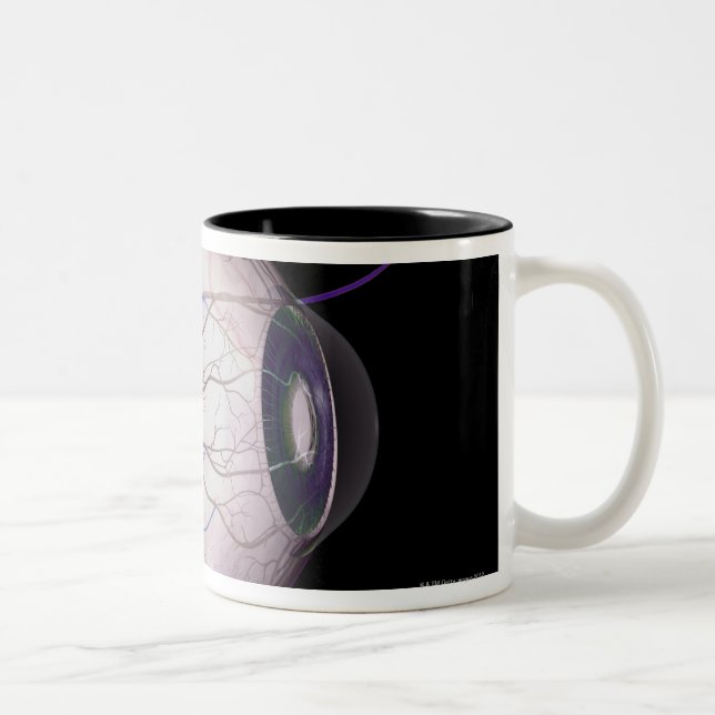 Blood Vessels of the Eye Two-Tone Coffee Mug (Right)