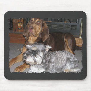 Bloodhound and Miniature schnauzer Mousepad