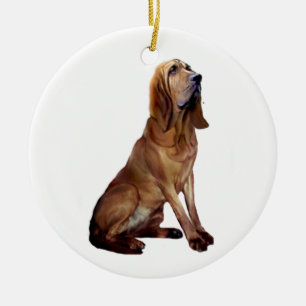 Bloodhound (B) - Sitting Ceramic Tree Decoration