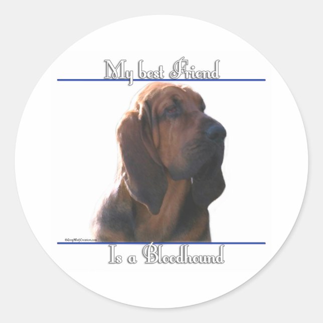 Bloodhound Best Friend; Bloodhound gifts;  Classic Round Sticker (Front)