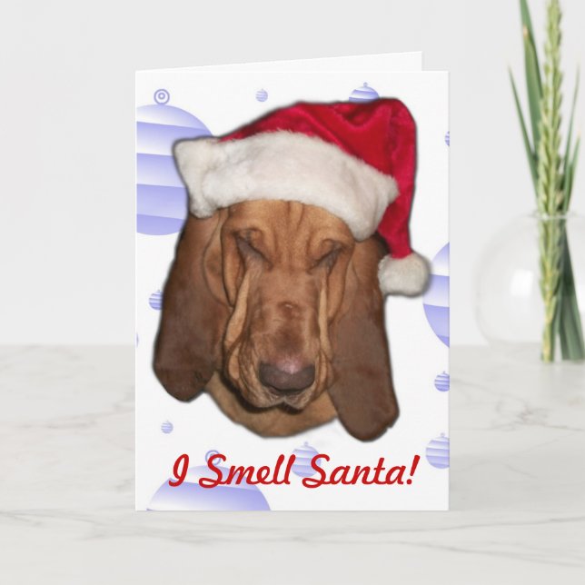 Bloodhound Christmas Card (Front)