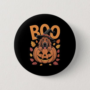 Bloodhound Costume On Pumpkin Halloween Bloodhound 6 Cm Round Badge