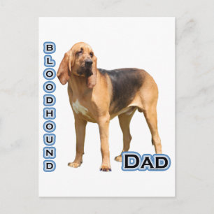 Bloodhound Dad 4 Postcard
