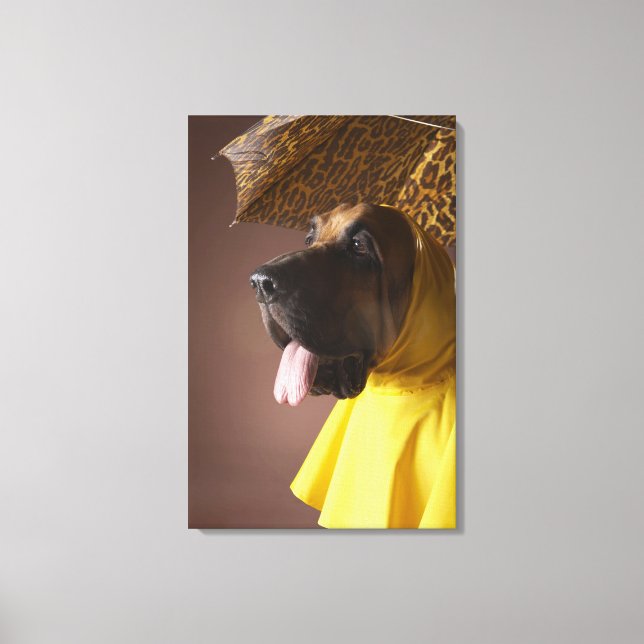 Bloodhound dog. canvas print (Front)