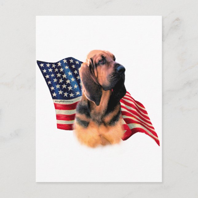 Bloodhound Flag Postcard (Front)