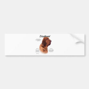 Bloodhound History Design Bumper Sticker