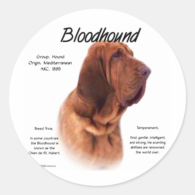 Bloodhound History Design Classic Round Sticker (Front)