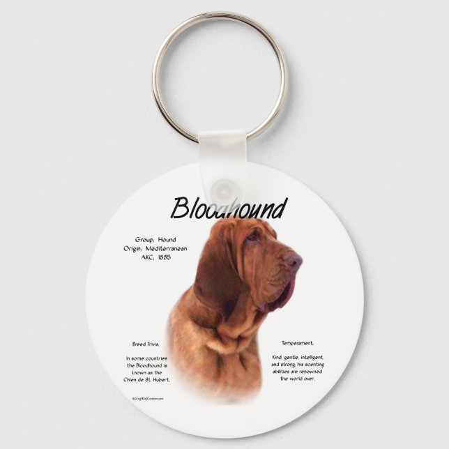Bloodhound History Design Key Ring (Front)