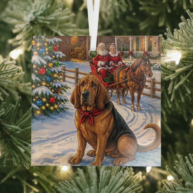 Bloodhound Holiday  Glass Tree Decoration (Insitu)