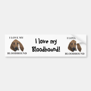 Bloodhound Love Bumper Sticker