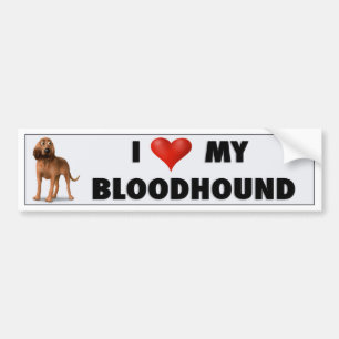Bloodhound - Love Bumpersticker BLH Bumper Sticker