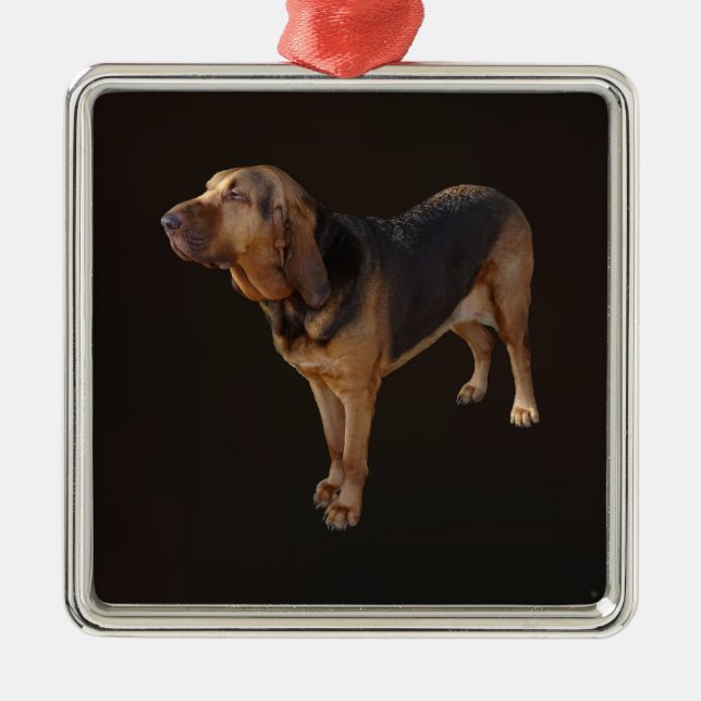Bloodhound Metal Tree Decoration (Front)