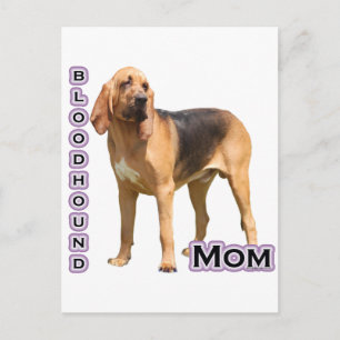 Bloodhound Mum 4 Postcard
