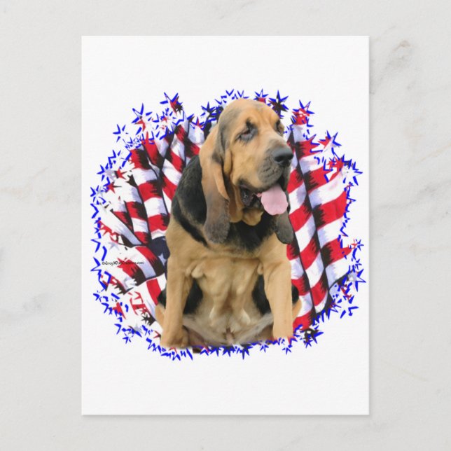 Bloodhound Patriot Postcard (Front)