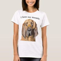 Bloodhound Portrait