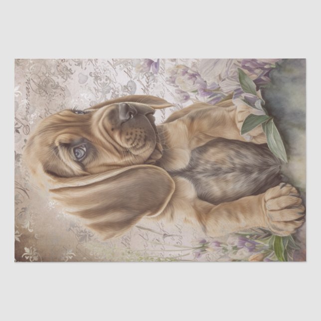 Bloodhound Puppy Dog Tissue Paper (Front)