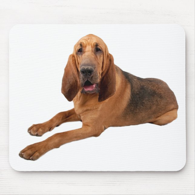 Bloodhound Puppy Dogs Rule Mousepad (Front)