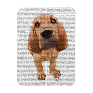 Bloodhound Puppy Magnet