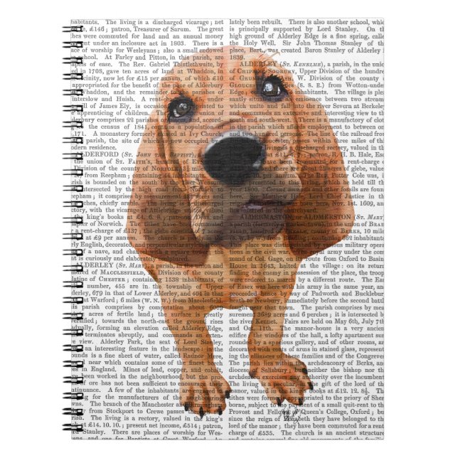 Bloodhound Puppy Spiral Notebook (Front)