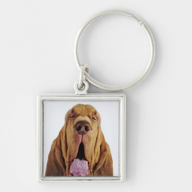 Bloodhound (St. Hubert Hound) with closed eyes, Key Ring (Front)