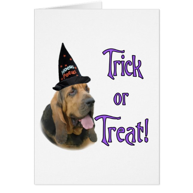 Bloodhound Trick (Front)